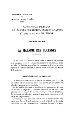 platanes Book