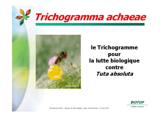 tricho Book