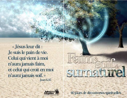 lecture seule Book