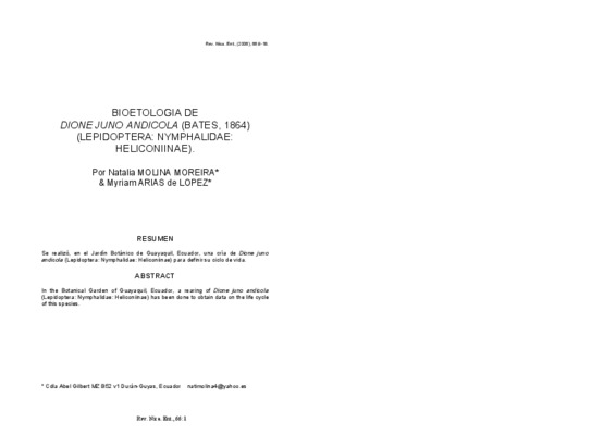 andicola Book