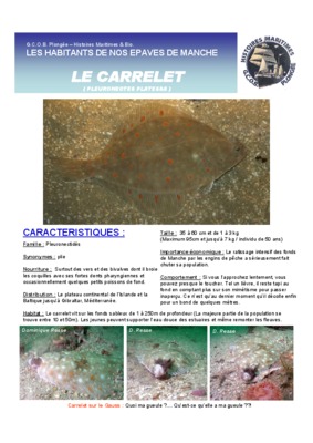 carrelet Book