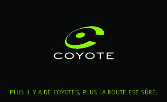 coyotes Book