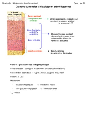 steroidogenese gonadique Book