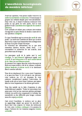 nert cutane lateral Book
