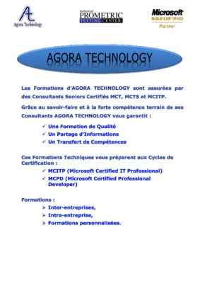 securite windows Book