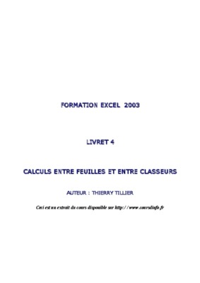 excel 2007 calculs et liaisons entre feuilles Book