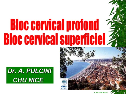 pulcini Book