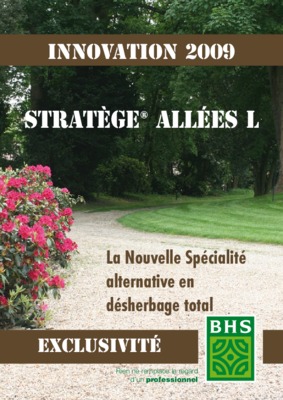 stratege Book