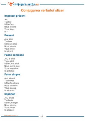 exercice slice en badminton Book