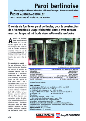 nouvelle technique paroi berlinoise Book