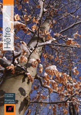 la faine de myeline Book