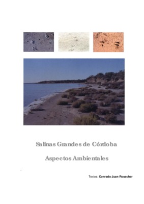 contato avec conrado Book