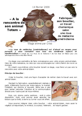 animal totem Book