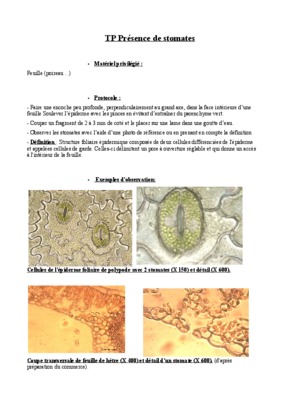 mecanismes d_ouvertures des stomates Book