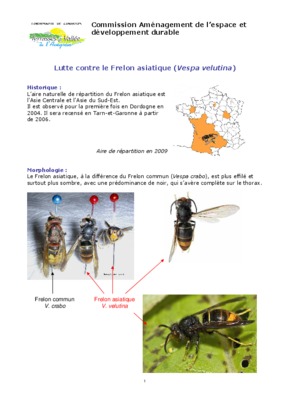 effile Book
