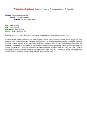 la comptabilit laurent batsch Book
