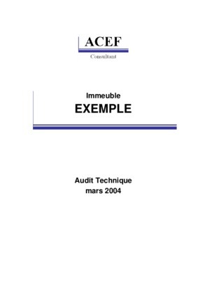 exemple rapport d_un consultant en management Book