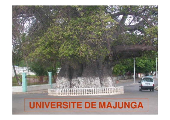majunga monographie Book