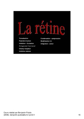 vision centrale Book