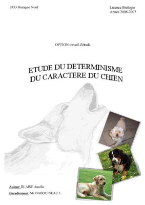 tout savoir sur les chats Book