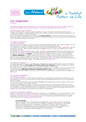 muqueuses Book