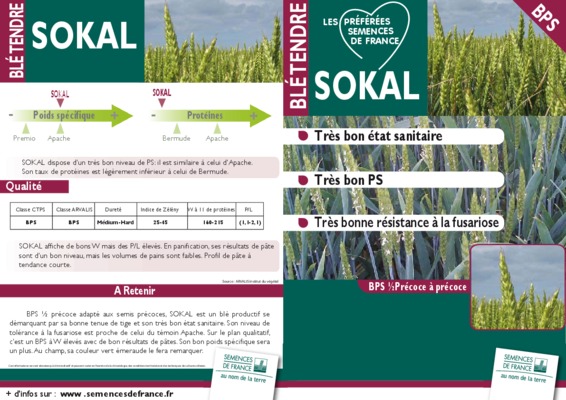 sokal Book