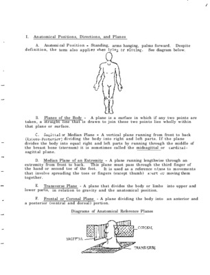 anatomical Book