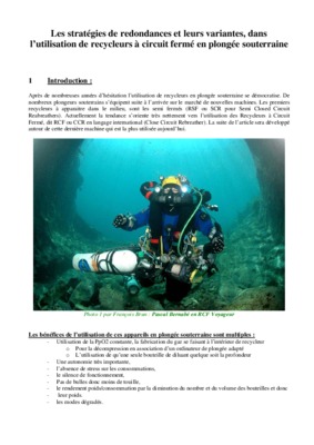que recherchent les fmn dans leurs strategies de localisation internationale Book