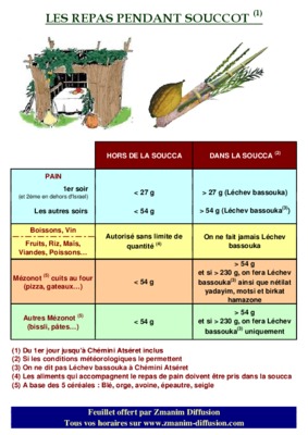 construction de la soucca Book