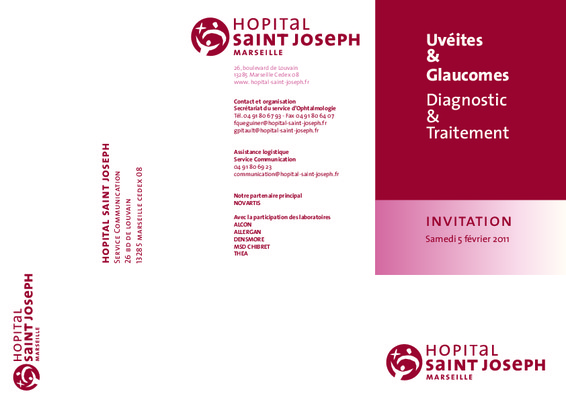 diagnostic des uveites Book