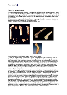 laetoli Book