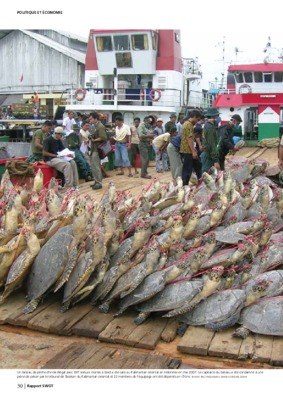 kalimantan Book