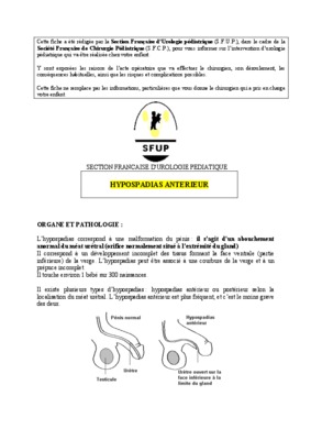 botto Book
