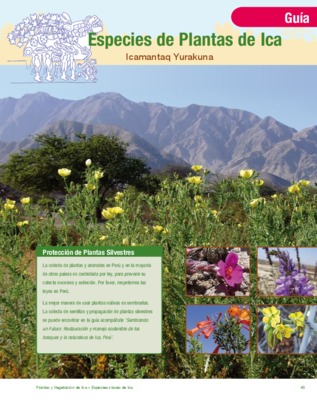 guia de plantas Book