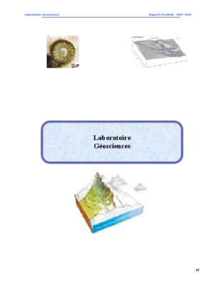 palaeolithic Book