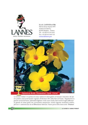 lannes Book