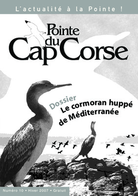 cormoran mazda Book