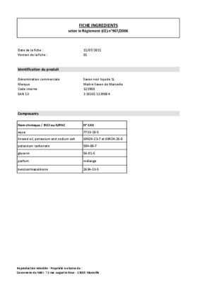 la fbrication de savon noir Book