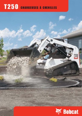 karcher t250 Book