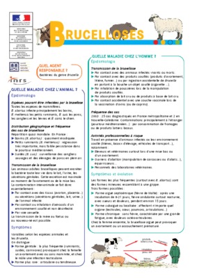 bruc sur aff Book