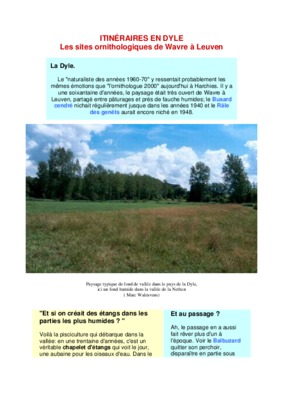 dyle breda Book