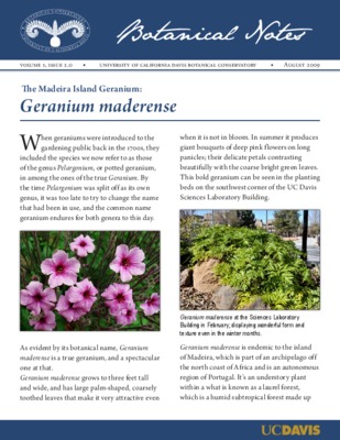 rose geranium oil Book