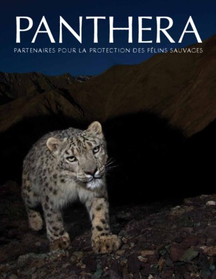 panthera Book