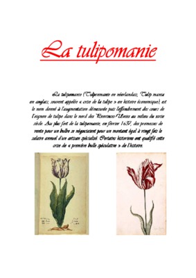 tulipomanie Book