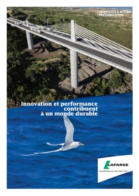 correction cas de synthese 1 le cas lafarge management des entreprise Book