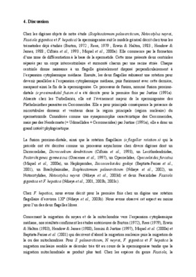ventraux Book