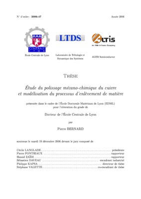polissage mecano chimique Book