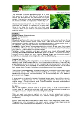 greens Book