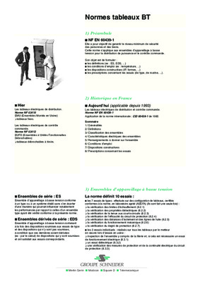 schneider normes Book