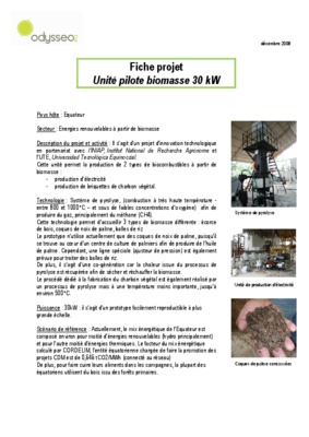 fabrication du charbon vegetal Book